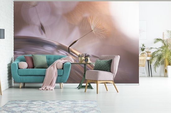 Papier peint Papier peint photo vinyle - Absracte gros plan de graines de pissenlit largeur 390 cm x hauteur 260 cm - impression photo sur fond d' écran (disponible en 7 tailles)