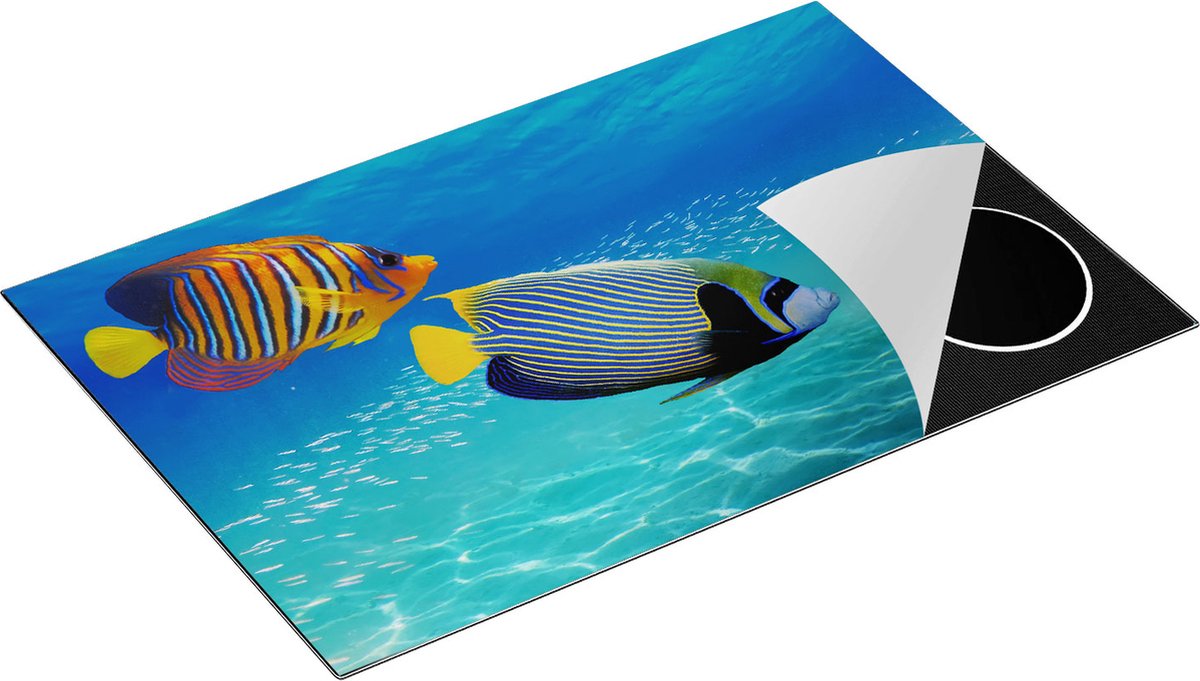 Chefcare Inductie Beschermer Twee Tropische Vissen in de Rode Zee - 78x52 cm - Afdekplaat Inductie - Kookplaat Beschermer - Inductie Mat
