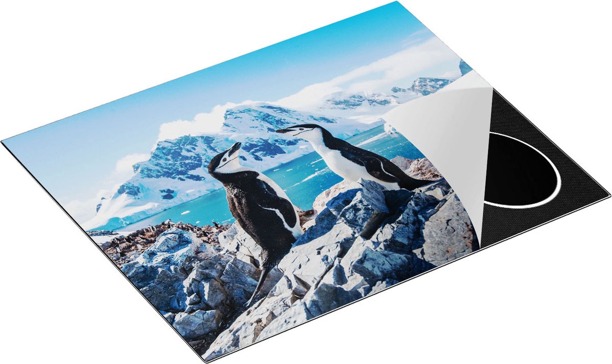 Chefcare Inductie Beschermer Twee Pinguïns op Stenen in Antarctica - 65x50 cm - Afdekplaat Inductie - Kookplaat Beschermer - Inductie Mat