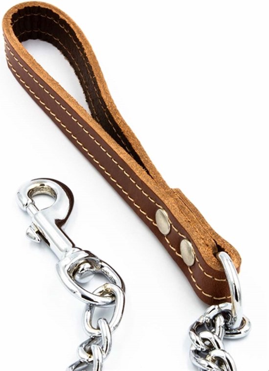 200 cm pvc 8 x 12 cm hondenriem ketting grappige