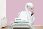 Papier Papier peint photo vinyle - Flamingo largeur Witte 360 cm x hauteur 240 cm - impression sur le papier peint photo (disponible en 7 tailles)