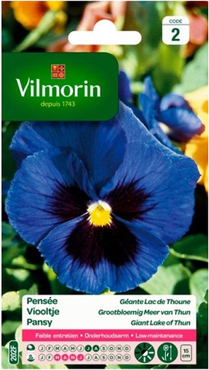 Vilmorin - Viooltje - Grootbloemig Meer van Thun - V202