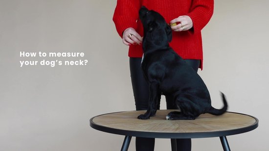 Kentucky Dogwear Hondenhalsband Luipaardprint - Donkergroen L - 42-68cm