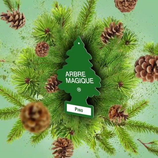 Arbre Magique 12 X 7 Cm Vert Pin