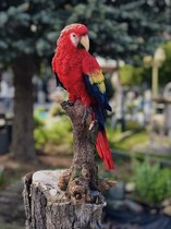 Papegaai op stam middel rood levensecht 39 cm hoog - polyester - polystone - beeld - tuinbeeld - hoogkwalitatieve kunststof - decoratiefiguur - interieur - accessoire - voor binnen - voor buiten - cadeau - geschenk