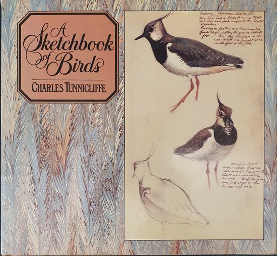 A Sketchbook of Birds