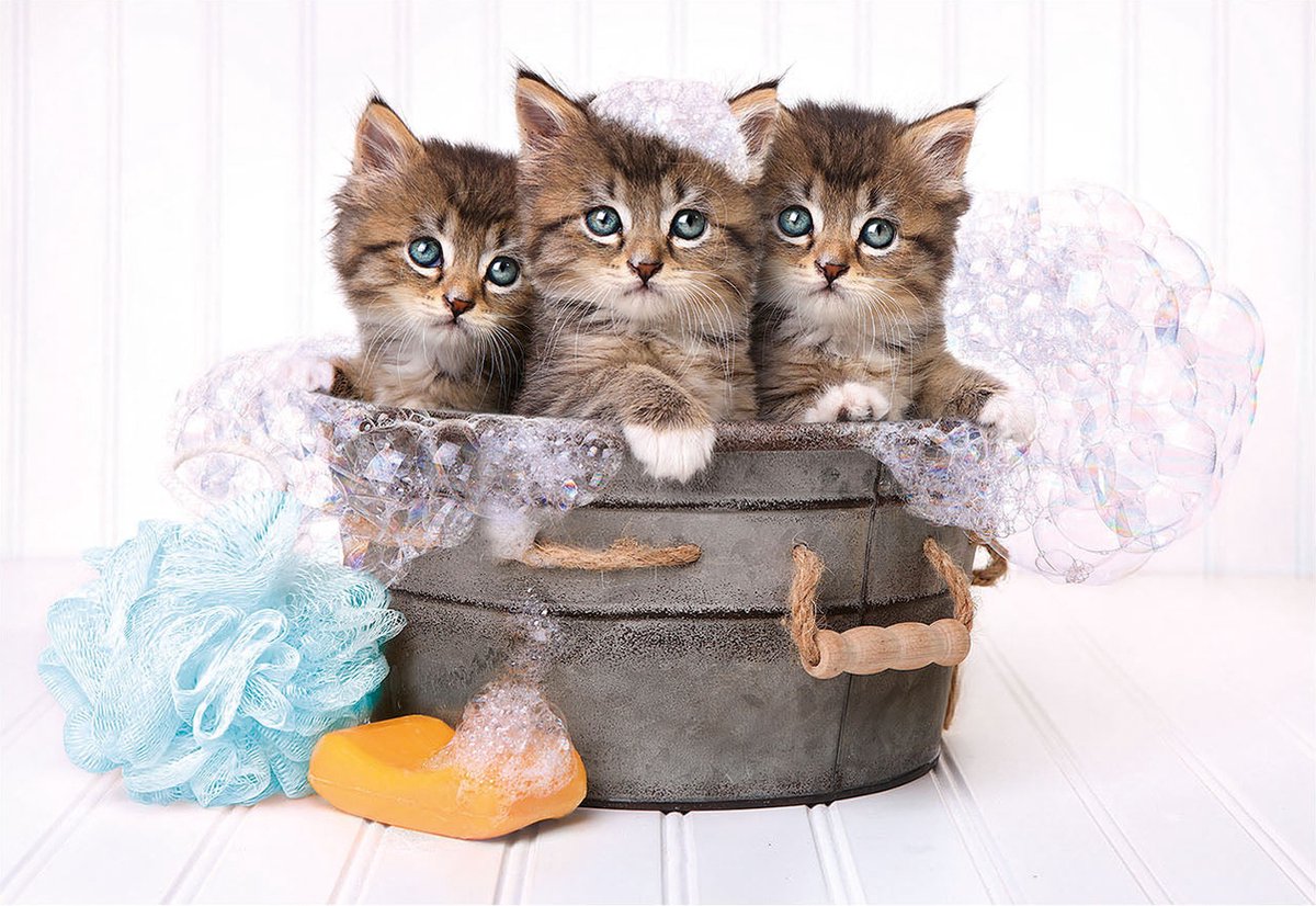 Puzzel - Lovely Kittens (180)