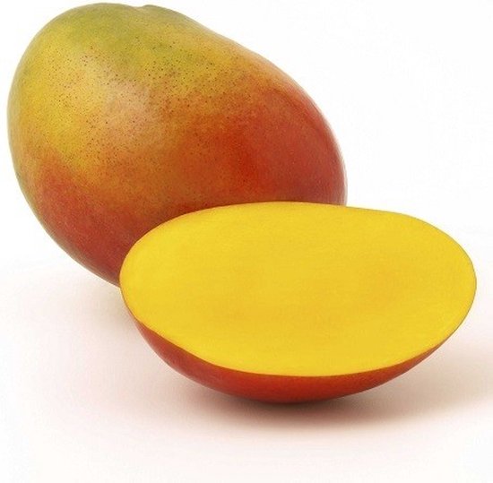 Mango slices gedroogd - 1 Kg - Holyflavours | bol