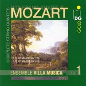Ensemble Villa Musica - Complete String Quintets Vol 1 (CD)