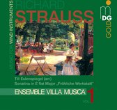 Ensemble Villa Musica - Music For Wind Instruments Vol.1 (CD)