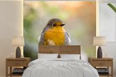Papier Peint - Papier peint photo Vogels - Rouge-gorge - Arbre - Largeur 300 cm x Hauteur 300 cm