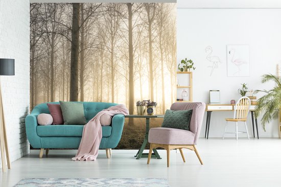 Papier Peint - Papiers Papier peint photo Forêt - Soleil - Brouillard - Largeur 300 cm x Hauteur 300 cm