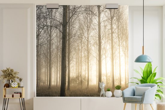 Papier Peint - Papiers Papier peint photo Forêt - Soleil - Brouillard - Largeur 300 cm x Hauteur 300 cm