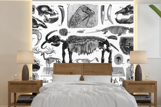 Foto: Behang fotobehang illustraties van fossielen sporen en skeletten breedte 240 cm x hoogte 240 cm