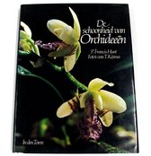 Schoonheid van orchideeen