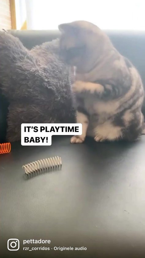 Pettadore Play Springs – Set van 9 Kattenveertjes – Kattenspeelgoed