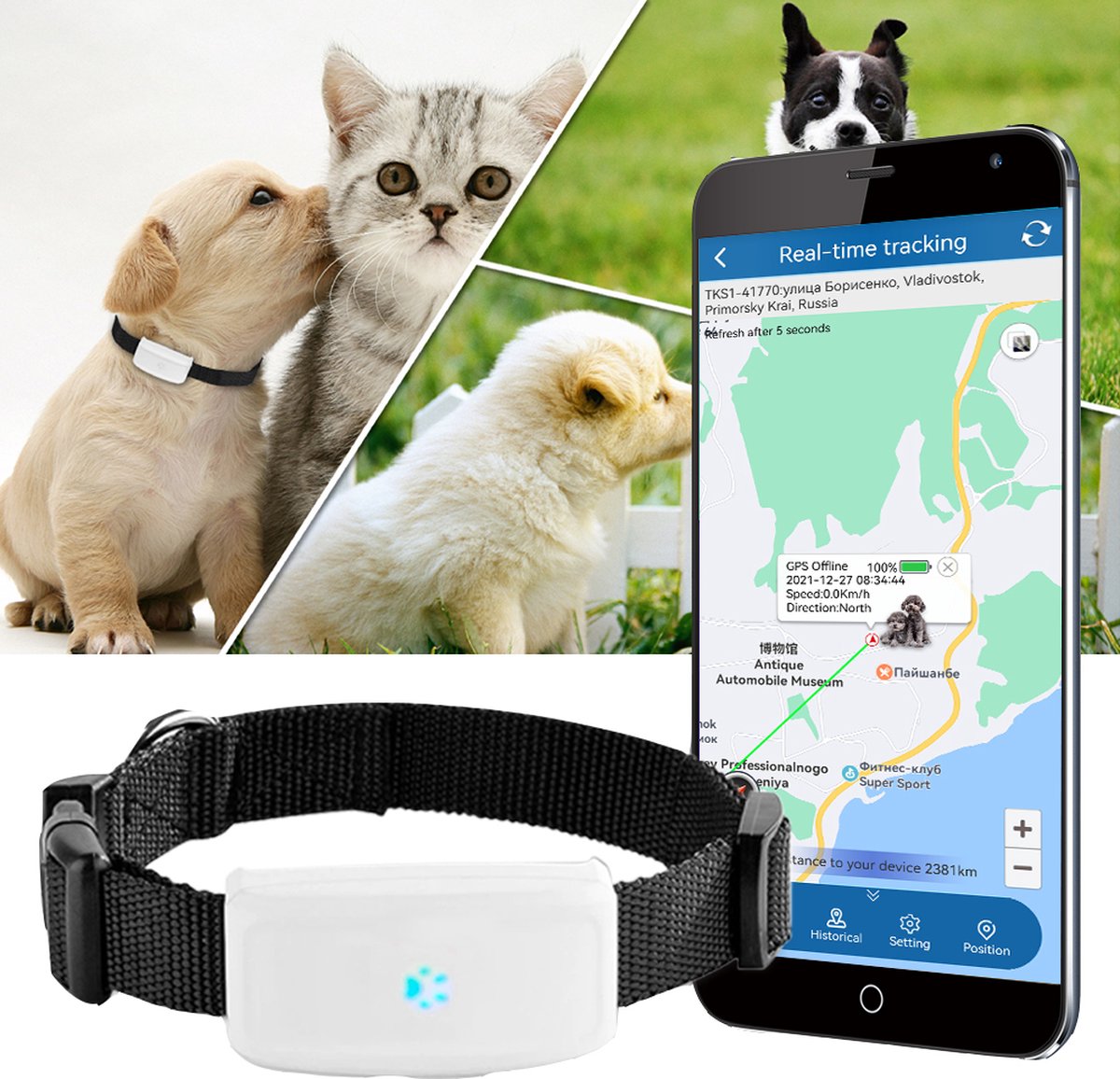 Spotter Pet GPS Tracker Cat - Sans abonnement - Tracker d'activité -  Étanche