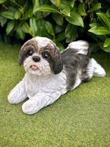 Shih Tzu zwart en wit - hond - dog - 20 cm hoog - polyester - polystone - beeld - tuinbeeld - hoogkwalitatieve kunststof - decoratiefiguur - interieur - accessoire - voor binnen - voor buiten - cadeau - geschenk