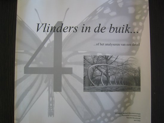 4 Vlinders in de buik, A.P.J.M. Verheijen | 9789080480377 | Boeken