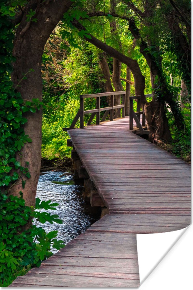 Poster Bos - Natuur - Brug - 60x90 cm