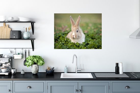 Konijn in klaverveld Poster 80x60 cm - Foto print op Poster (wanddecoratie woonkamer / slaapkamer) / Huisdieren Poster