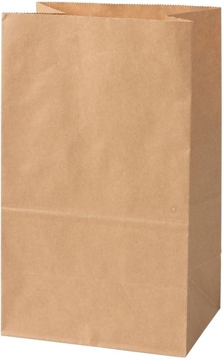 Kraft Zakken Bruin 15x10x25 cm (500 stuks)