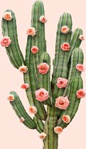 JUNIQE - Canvas doeken Cactusrozen foto -40x60 /Groen & Roze