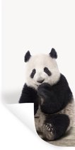 Muursticker kids - Sticker voor kinderen - Kinder decoratie - Panda - Dieren - Kinderkamer - Wanddecoratie - 20x40 cm - Zelfklevend behangpapier - Stickerfolie