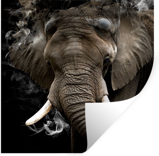 Sticker Rookzone 5cm Muurstickers - Sticker Folie - Olifant - Rook - Tanden - 100x100 cm ...