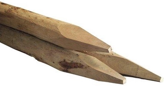 Robinia ronde paal 8-10cm 160cm