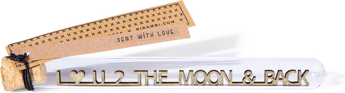 Message in a bottle - I love u 2 the moon & back - Valentijn cadeau voor hem haar -Valentijn Vrouw Man - Liefdescadeau - Dating - Valentijnsdag cadeau - Valentijnskaart - Valentijnsdag kaart