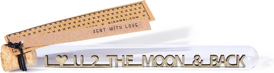 Message in a bottle - I love u 2 the moon & back - Valentijn cadeau voor hem haar -Valentijn Vrouw Man - Liefdescadeau  - Dating - Valentijnsdag cadeau - Valentijnskaart - Valentijnsdag kaart