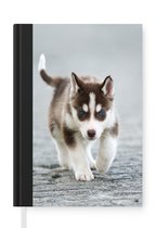 Notitieboek - Schrijfboek - Husky puppy rent over straat - Notitieboekje klein - A5 formaat - Schrijfblok