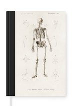 Notitieboek - Schrijfboek - Skelet - Vintage - Botten - Notitieboekje klein - A5 formaat - Schrijfblok