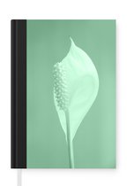 Notitieboek - Schrijfboek - Mintgroene Eucalyptusplant - Notitieboekje klein - A5 formaat - Schrijfblok