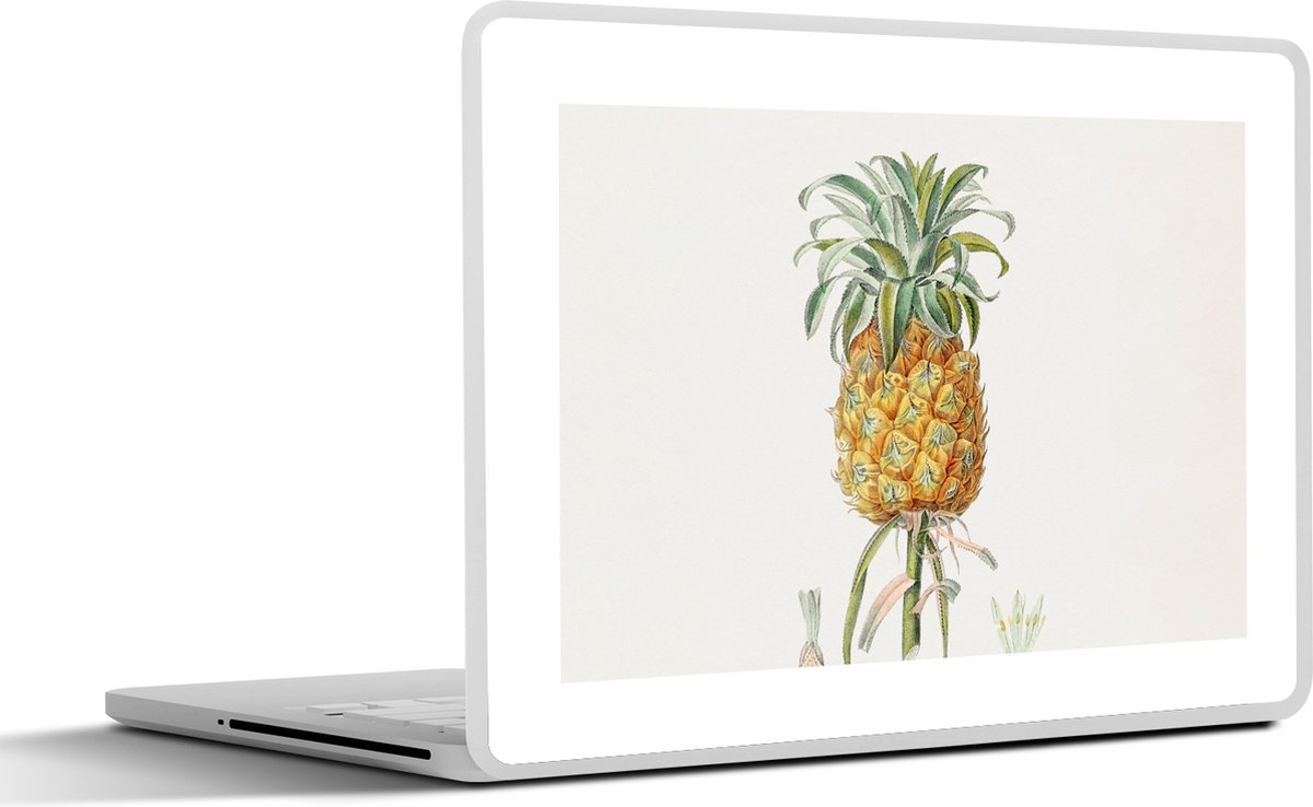 Laptop sticker - 17.3 inch - Ananas - Fruit - Vintage - 40x30cm - Laptopstickers - Laptop skin - Cover
