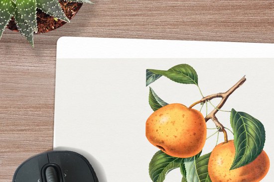 Muismat 27x18 cm - Mousepad Sinaasappel - Bladeren - Plant - Muismatten