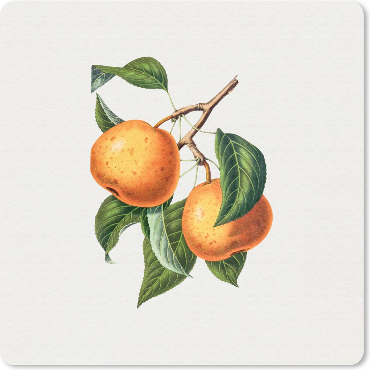Muismat 30x30 cm - Mousepad Eten - Fruit - Vintage - Muismatten