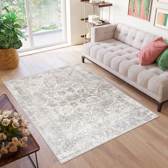 Tapiso Valley Tapis Salon Chambre Gris Clair Cadre Design Moderne Fleurs Durable Vintage Haute Qualité Tapis Taille - 200x300