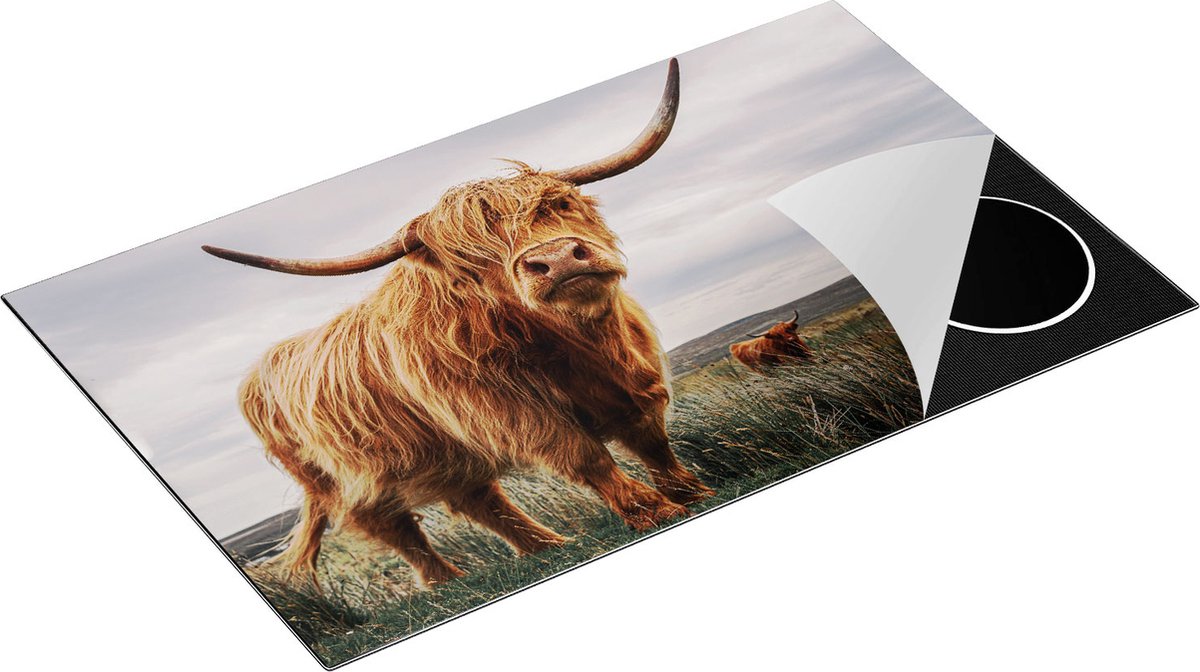 Chefcare Inductie Beschermer Schotse Hooglander Koeien in de Wei - 85x52 cm - Afdekplaat Inductie - Kookplaat Beschermer - Inductie Mat