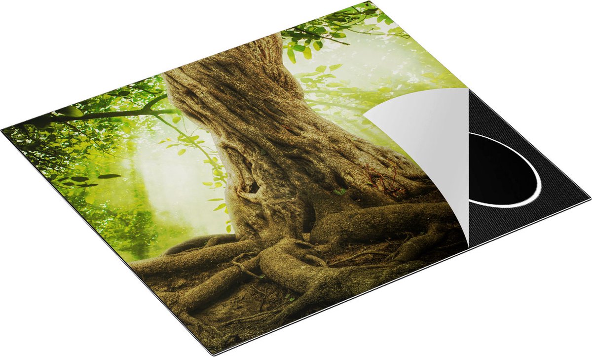 Chefcare Inductie Beschermer Grote Boom in het Bos met Wortels - 60x55 cm - Afdekplaat Inductie - Kookplaat Beschermer - Inductie Mat