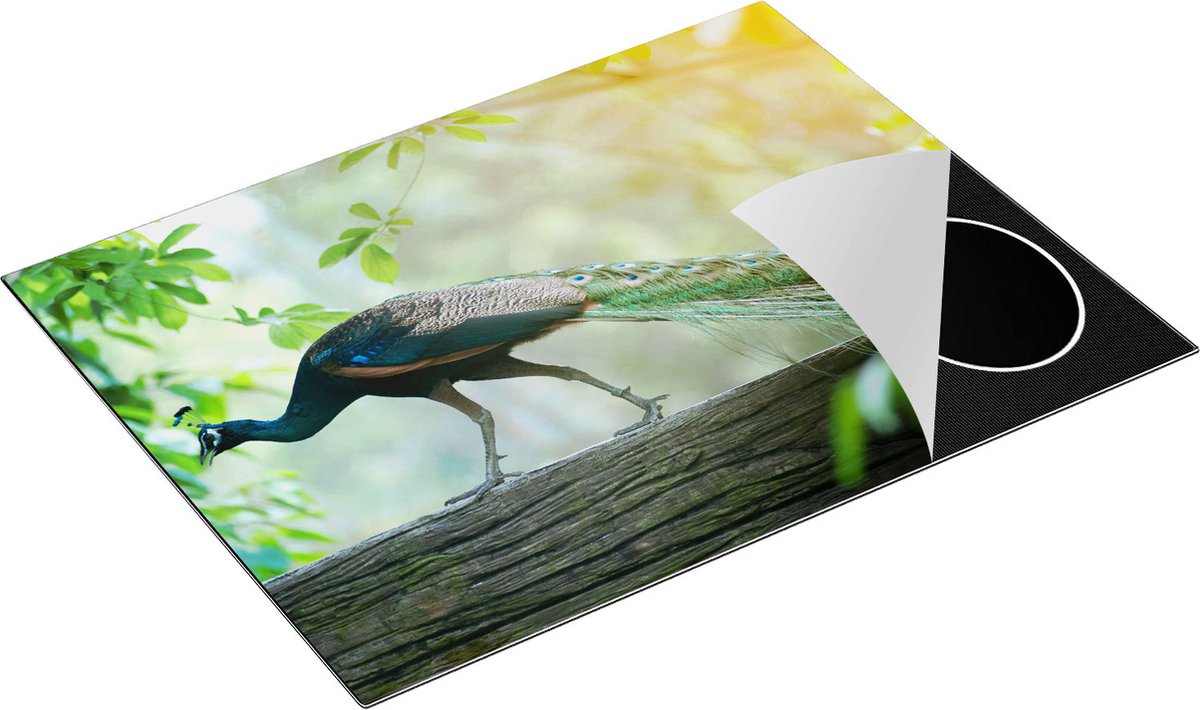 Chefcare Inductie Beschermer Pauw Loopt op een Tak in de Natuur - 77x59 cm - Afdekplaat Inductie - Kookplaat Beschermer - Inductie Mat