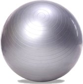 DW4Trading Gym ball - yoga - fitness - pilates - ballon suisse - 60 cm - argent