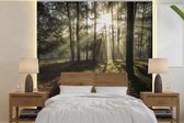 Behang - Fotobehang Bos - Zon - Mist - Breedte 350 cm x hoogte 350 cm