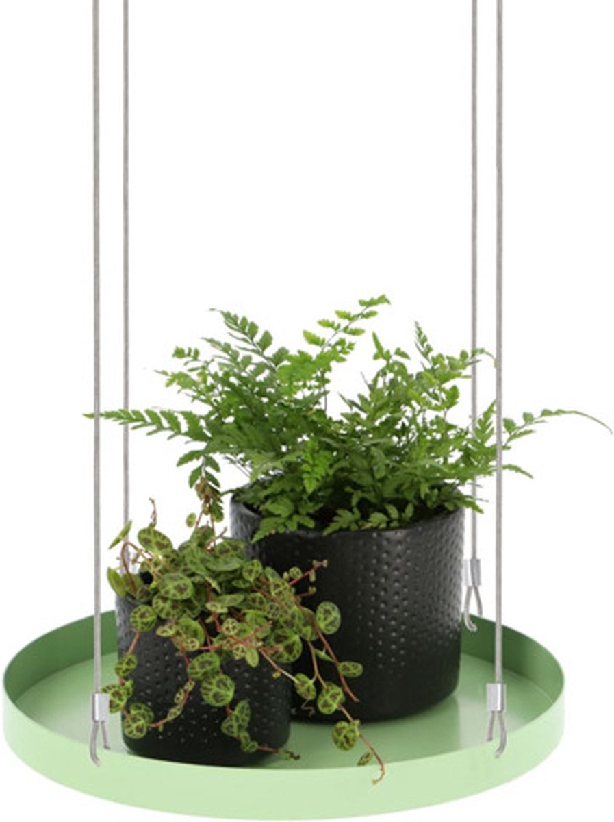 Hangend Plantenplateau Rond Groen L Bol hangend-plantenplateau-rond-groen-l-bol