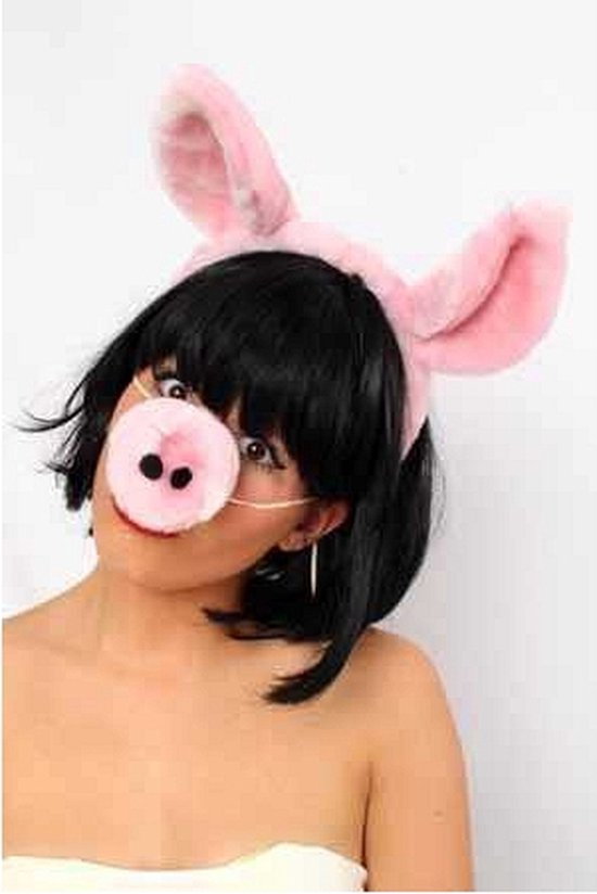 staal Verwaarlozing Agnes Gray 2x stuks diadeem met varkens oren en neus - dieren verkleedsetjes | bol.com