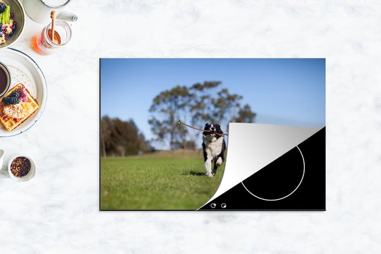 KitchenYeah® Inductie beschermer 81x52 cm - Een border collie met een stok in de mond - Kookplaataccessoires - Afdekplaat voor kookplaat - Inductiebeschermer - Inductiemat - Inductieplaat mat