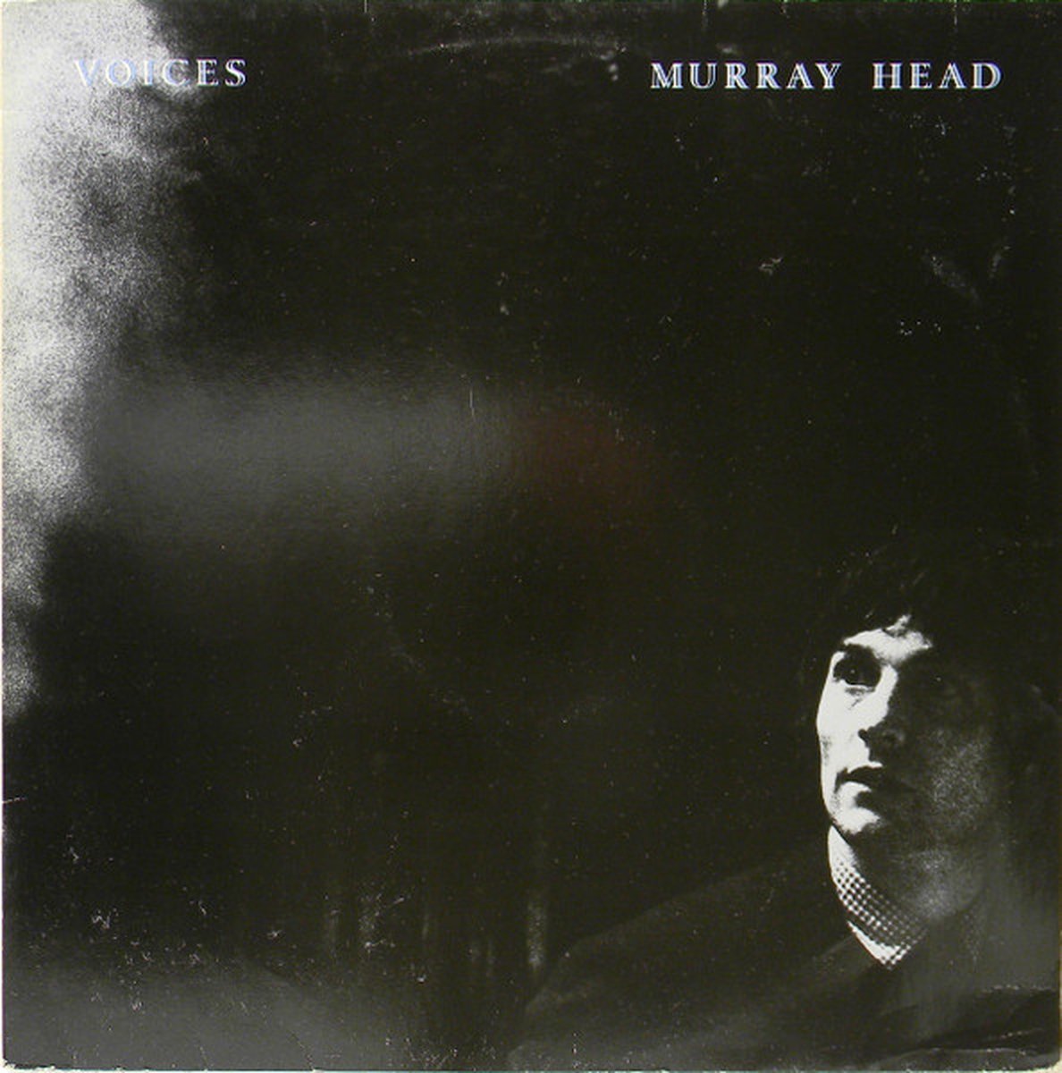 Voices (LP)