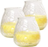 Set de 5 bougies de jardin/maison lowboy à la citronnelle en verre 10 cm - Bougies d'intérieur/extérieur - Articles anti-moustiques/insectes