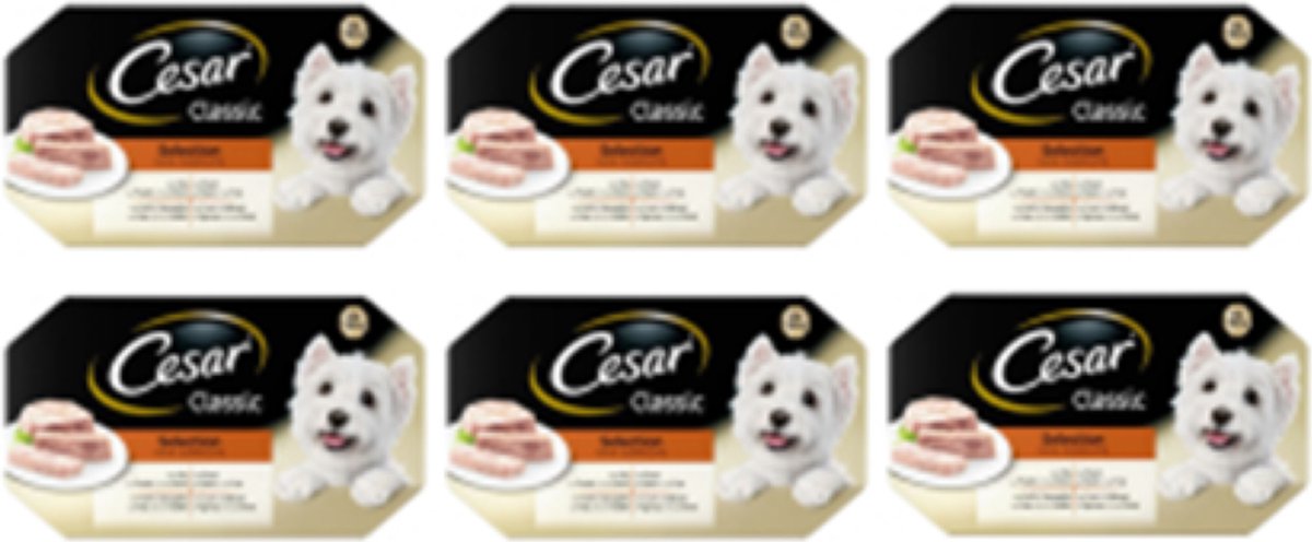 6x Cesar Classic Kuipje in Gelei Selection Multipack - Hondenvoeding - 600g
